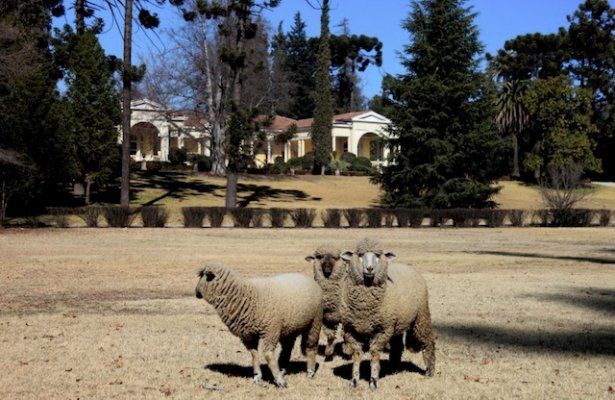 Santiago Express and Surroundings Santiago Express and Surroundings