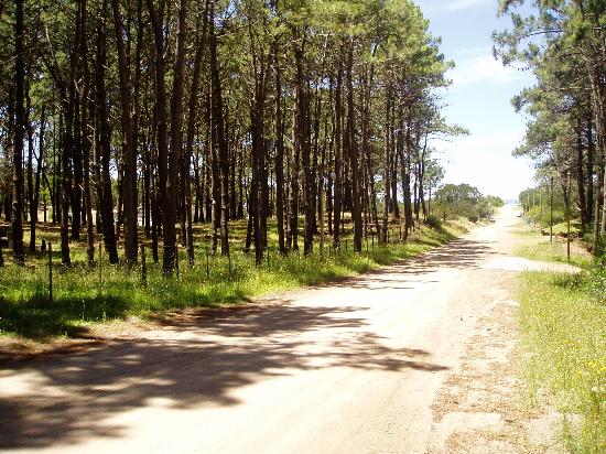 Villa Gesell