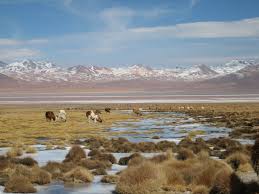 La Paz, Salar De Uyuni y Reserva Eduardo Abaroa