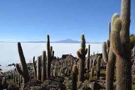 La Paz, Salar De Uyuni and Reserva Eduardo Abaroa