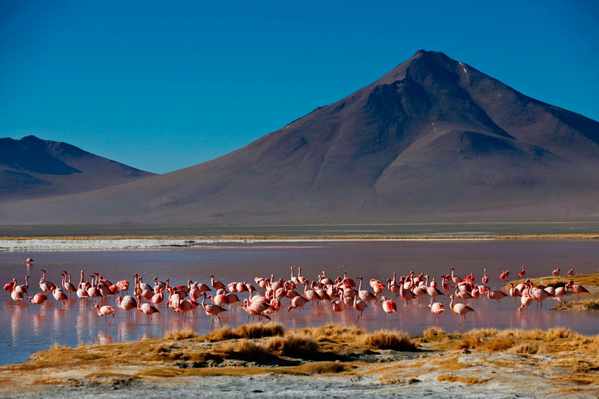  La Paz, Sucre, Potosi, Uyuni Salt Flats, Lagunas de Colores and Isla del Sol