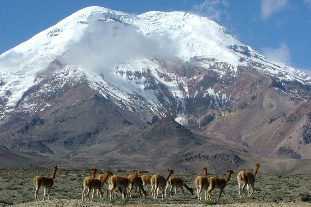 Galapagos cruise and Otavalo, across the Andes to the Coast