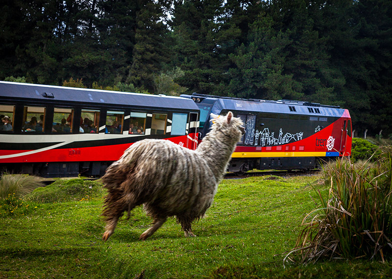 Tren de las Nubes