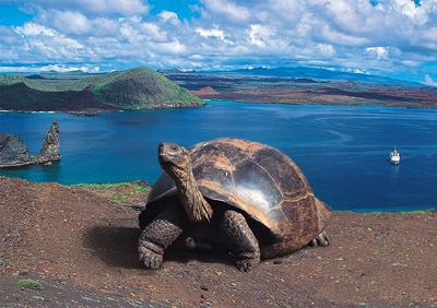 Andes, Coast and Galapagos