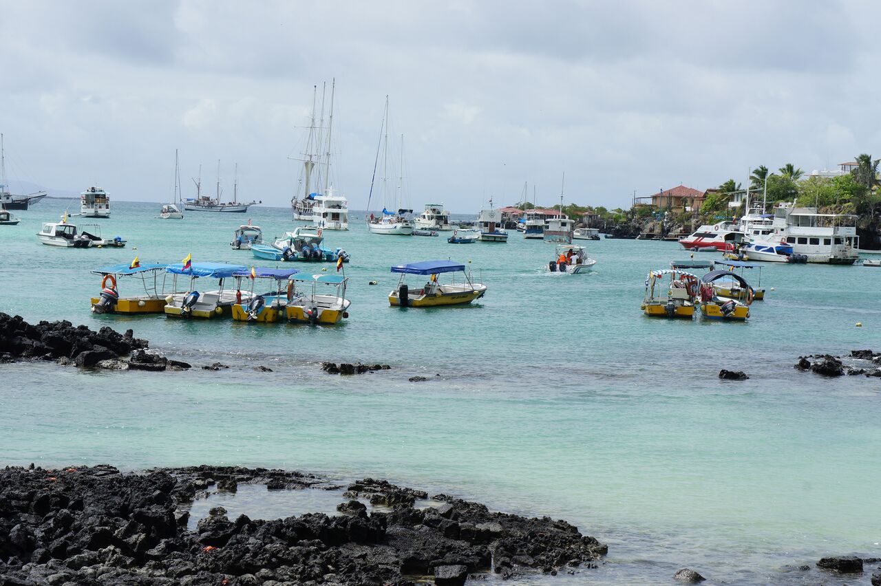 Galapagos Clásico