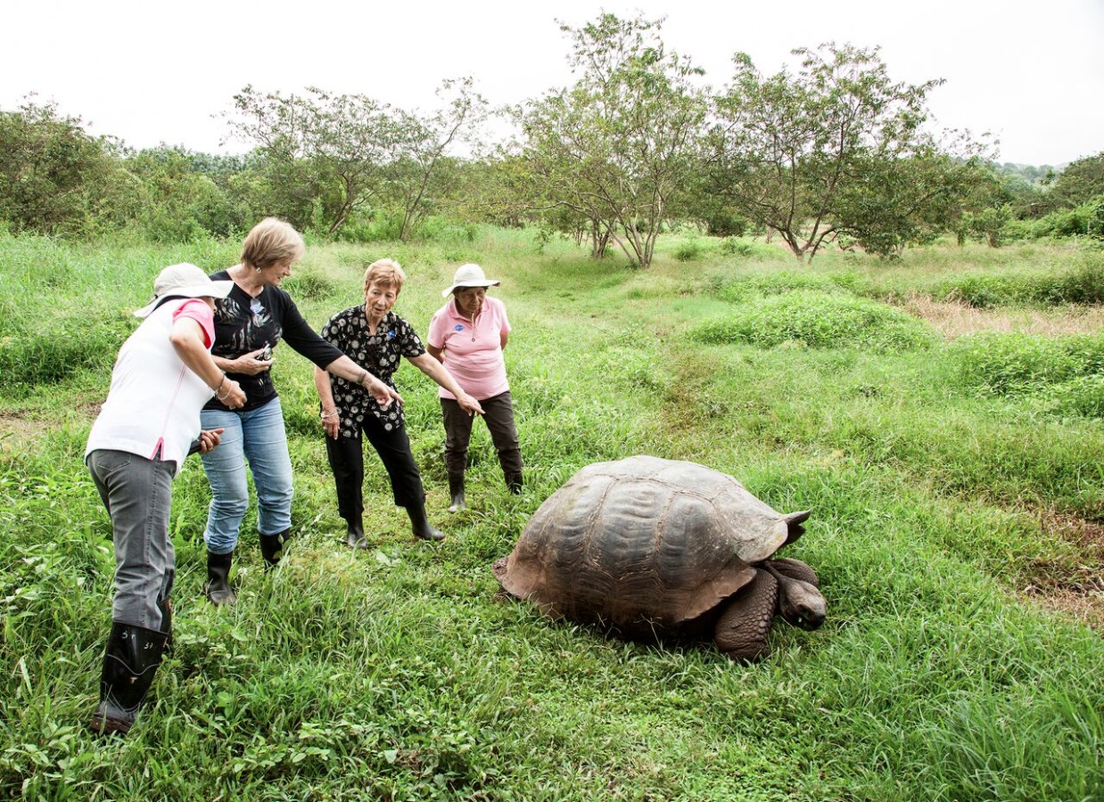 Galapagos Flash