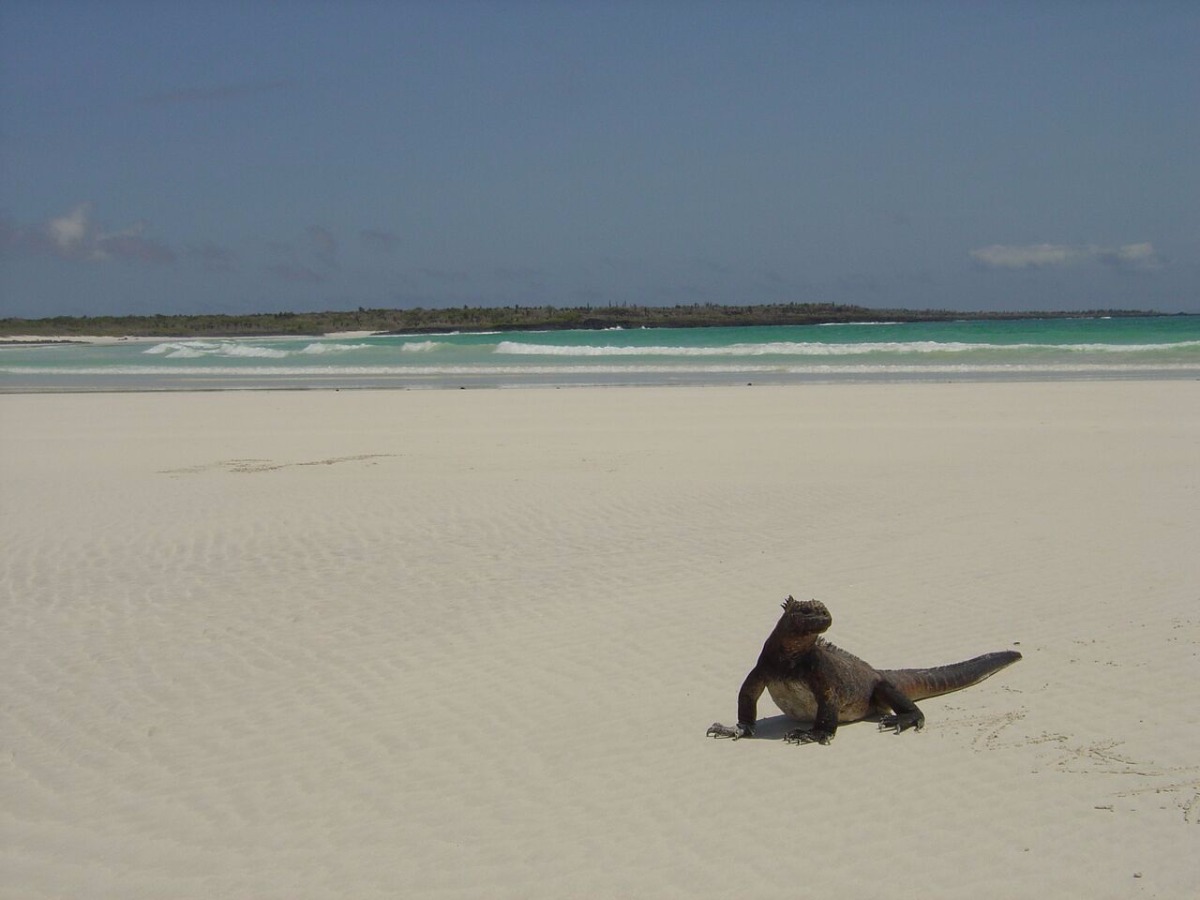 Vive Galápagos