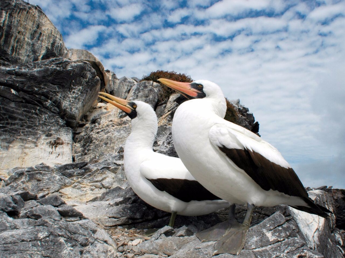 Galapágos Islas Encantadas