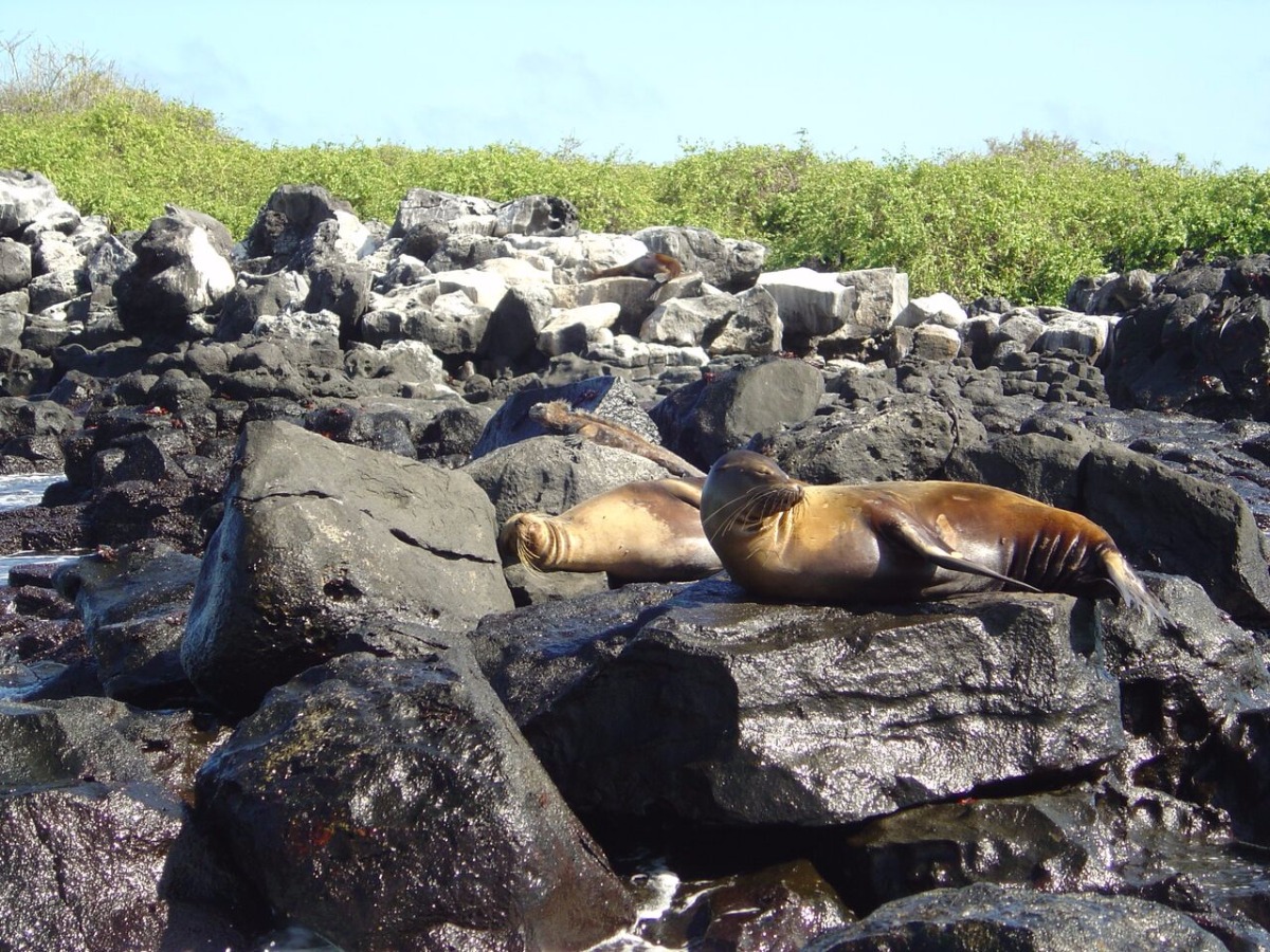 Galapágos Islas Encantadas