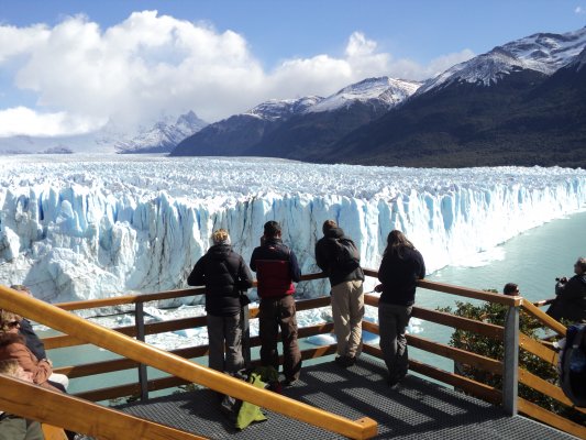 Calafate Clásico