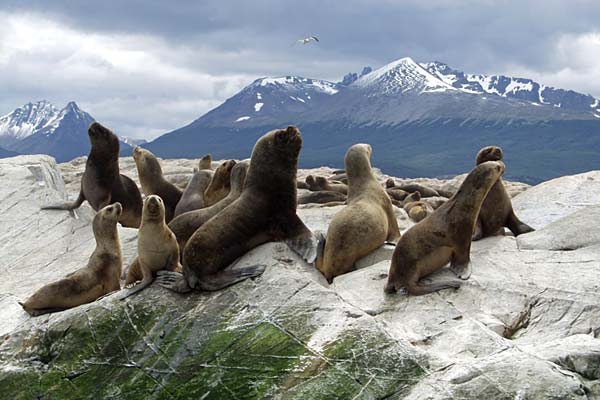 Ushuaia Clásico