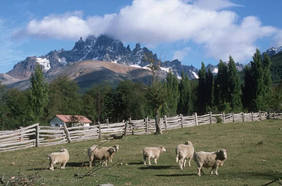 Bariloche and Isla Victoria