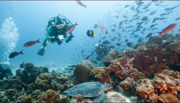 Galapagos Island