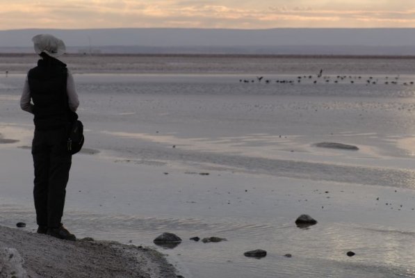 San Pedro de Atacama Tour - Ruta Mixta San Pedro de Atacama Tour - Ruta Mixta