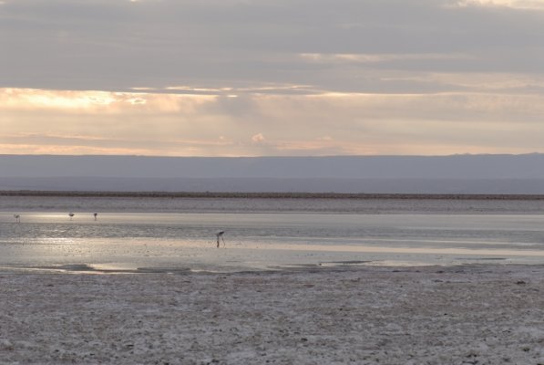 San Pedro de Atacama Tour - Ruta Mixta San Pedro de Atacama Tour - Ruta Mixta