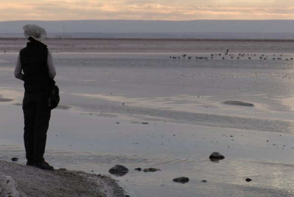 San Pedro de Atacama Tour - Ruta Mixta San Pedro de Atacama Tour - Ruta Mixta