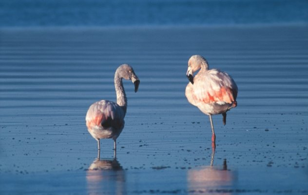 Lo Mejor de San Pedro de Atacama