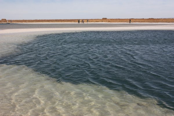 San Pedro de Atacama - The Lagoons Route San Pedro de Atacama - The Lagoons Route