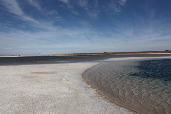 San Pedro de Atacama - The Lagoons Route San Pedro de Atacama - The Lagoons Route