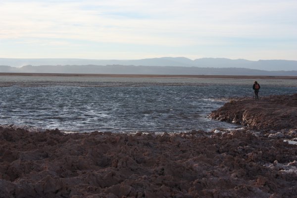 San Pedro de Atacama - The Lagoons Route San Pedro de Atacama - The Lagoons Route
