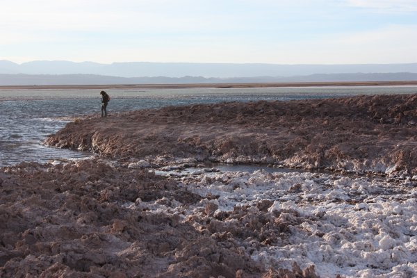 San Pedro de Atacama - The Lagoons Route San Pedro de Atacama - The Lagoons Route