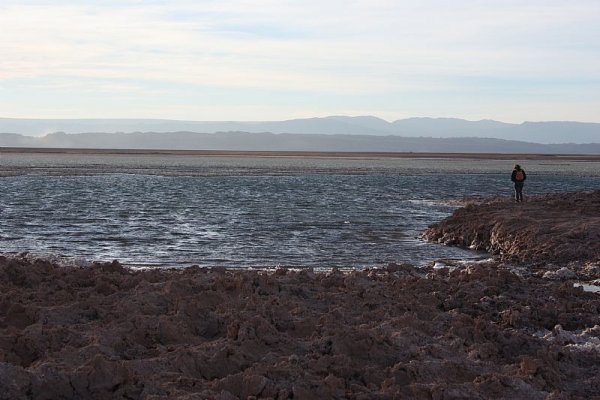 San Pedro de Atacama - The Lagoons Route San Pedro de Atacama - The Lagoons Route