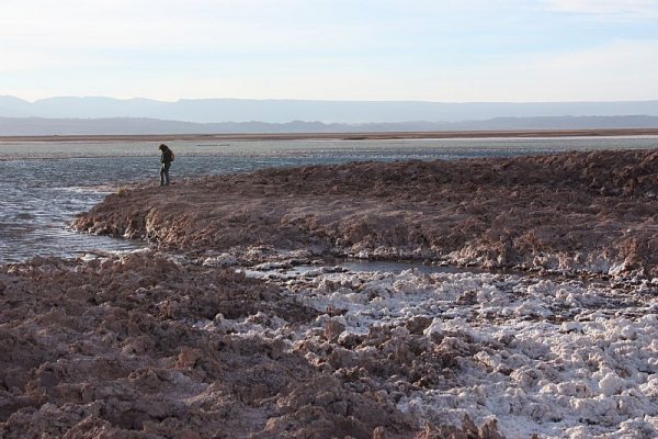 San Pedro de Atacama - The Lagoons Route San Pedro de Atacama - The Lagoons Route