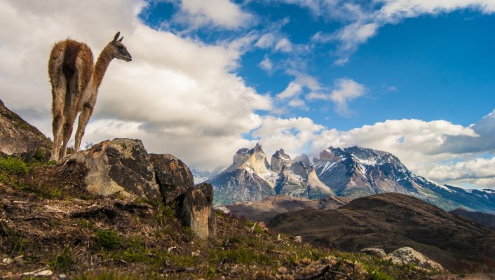 Full Torres del Paine Full Torres del Paine
