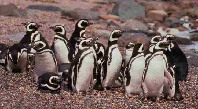 Aventuras en Torres del Paine