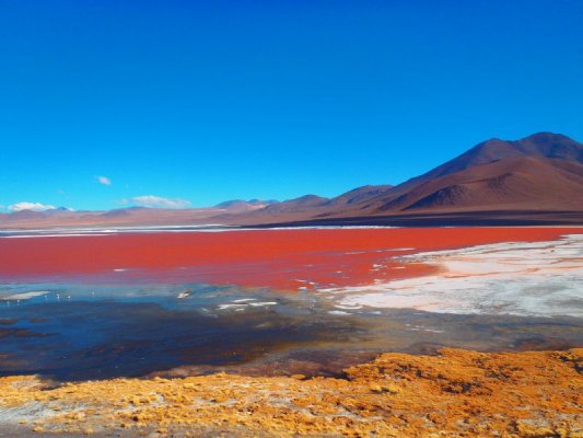 Discover the Stunning Uyuni Salt Flat Discover the Stunning Uyuni Salt Flat