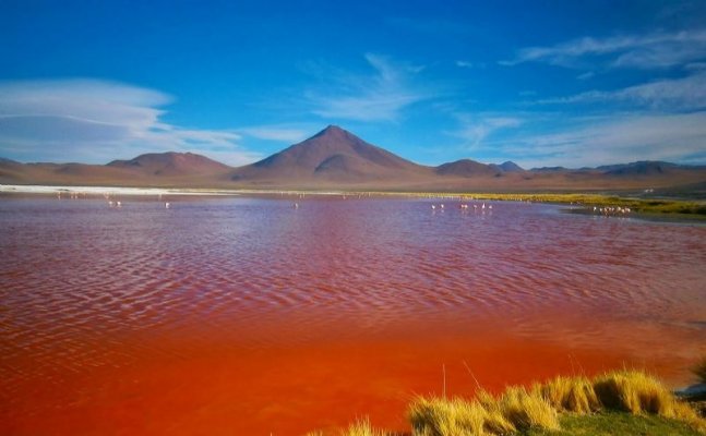 Discover the Stunning Uyuni Salt Flat Discover the Stunning Uyuni Salt Flat