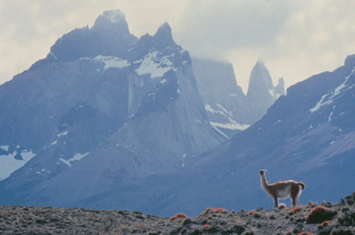 Torres del Paine, Valparaíso y Lagos de Chile