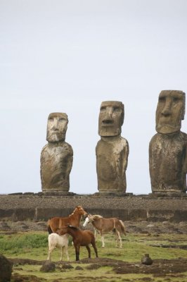 Fantasía en Isla de Pascua Fantasía en Isla de Pascua