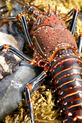 The Best of Easter Island The Best of Easter Island