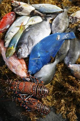 The Best of Easter Island The Best of Easter Island