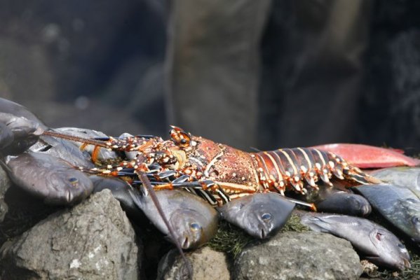 The Best of Easter Island The Best of Easter Island