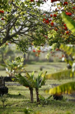 The Best of Easter Island The Best of Easter Island