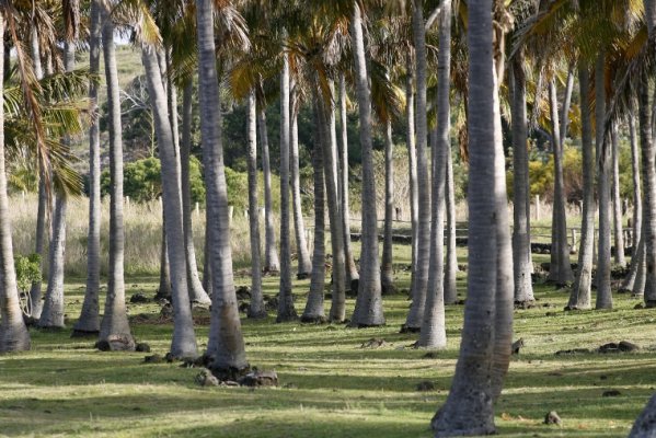 The Best of Easter Island The Best of Easter Island