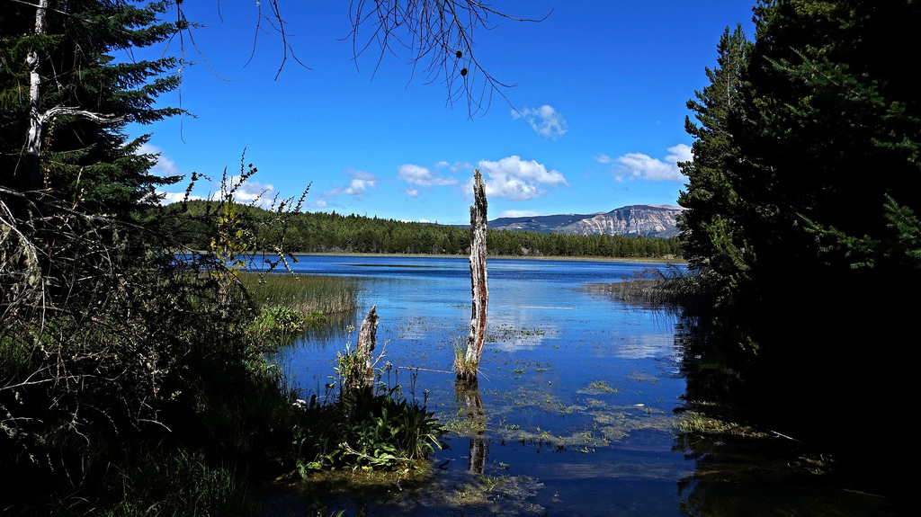 Coyhaique y Puerto Aysén