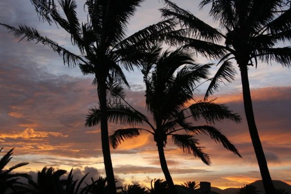 Isla de Pascua Ritual y Fantasía Isla de Pascua Ritual y Fantasía