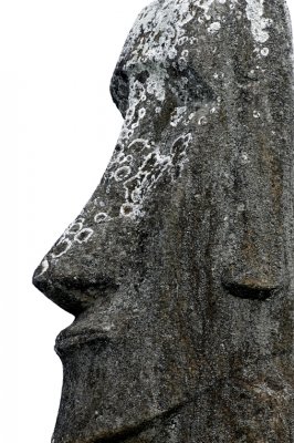 Easter Island Express Easter Island Express