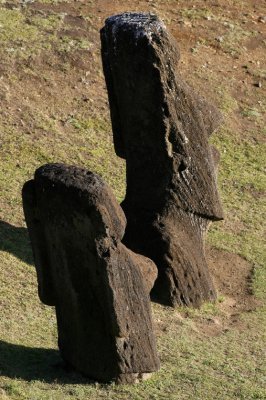 Easter Island Express Easter Island Express
